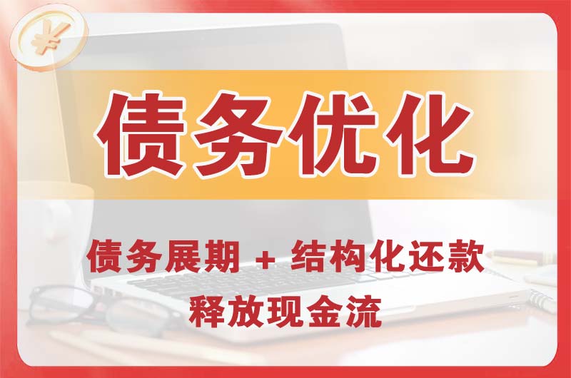 东乡债务优化