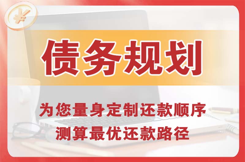 东乡债务规划